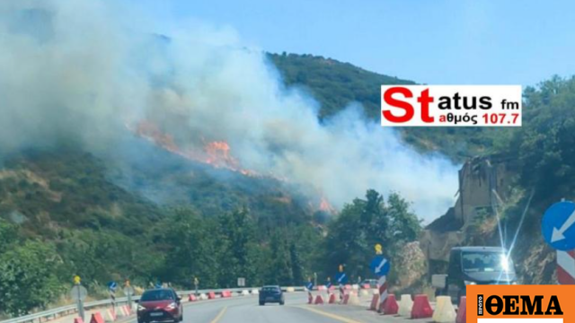 Φωτιά τώρα στα Πεύκα Θεσσαλονίκης, επιχειρούν και εναέρια