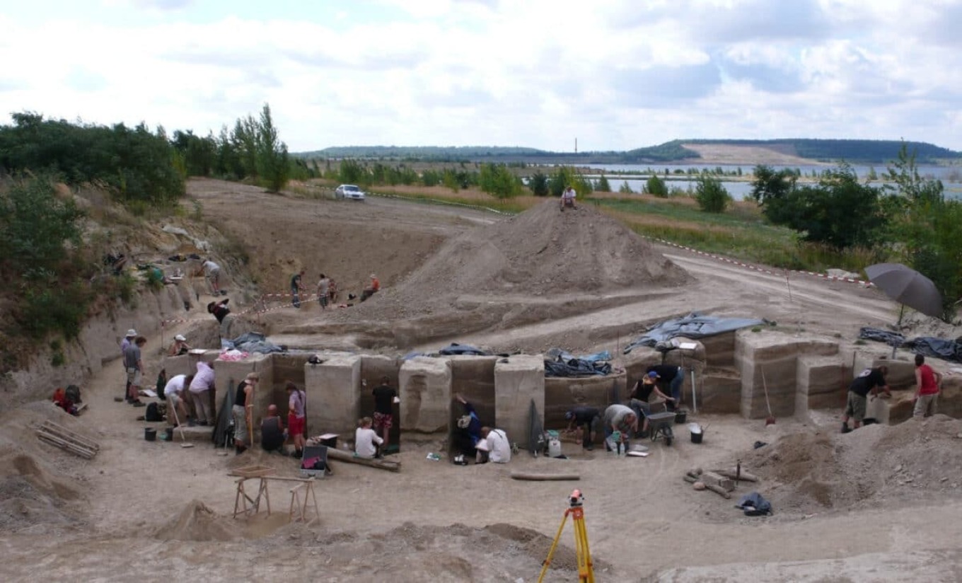 Studimi i ri/ Neandertalët përpunonin mishin që 120 mijë vjet më parë Studimi i ri/ Neandertalët përpunonin mishin që 120 mijë vjet më parë